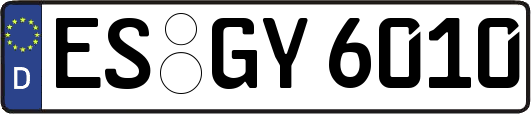 ES-GY6010