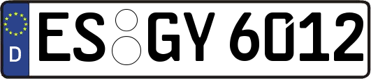 ES-GY6012