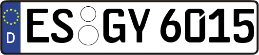ES-GY6015
