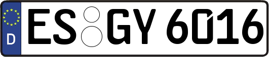 ES-GY6016
