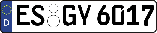 ES-GY6017