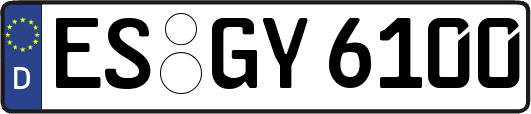 ES-GY6100
