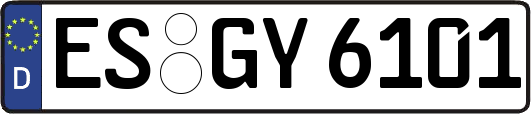 ES-GY6101