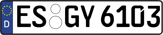 ES-GY6103