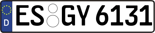 ES-GY6131