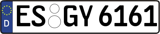 ES-GY6161