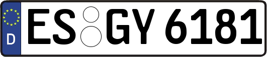 ES-GY6181