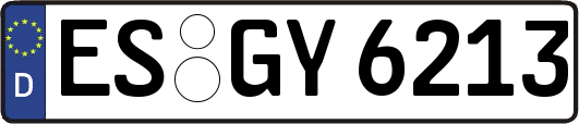 ES-GY6213