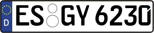 ES-GY6230