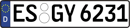 ES-GY6231