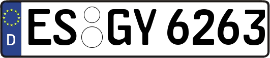 ES-GY6263
