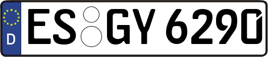 ES-GY6290