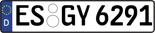 ES-GY6291