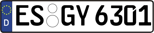 ES-GY6301