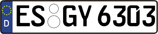 ES-GY6303