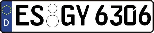 ES-GY6306