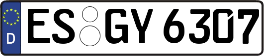 ES-GY6307