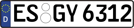 ES-GY6312