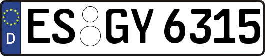 ES-GY6315