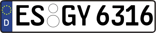 ES-GY6316