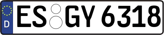 ES-GY6318