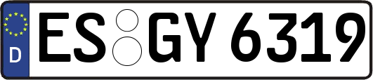ES-GY6319