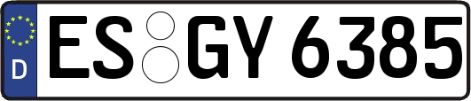 ES-GY6385