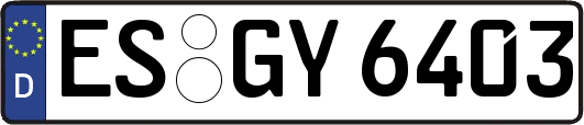 ES-GY6403