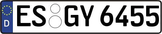 ES-GY6455