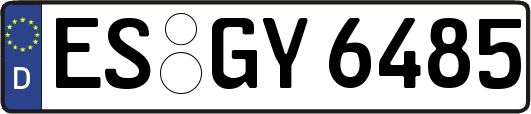 ES-GY6485