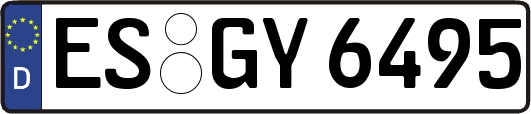 ES-GY6495