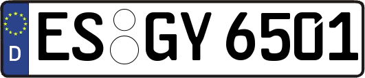 ES-GY6501