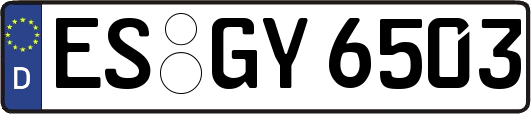 ES-GY6503