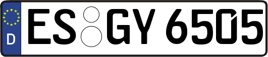 ES-GY6505