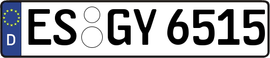 ES-GY6515