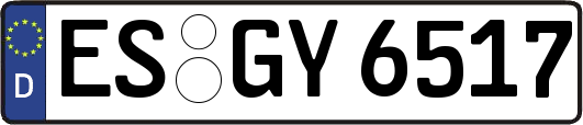 ES-GY6517