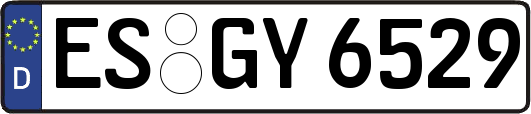 ES-GY6529