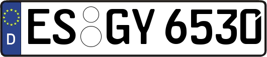 ES-GY6530