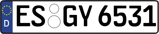 ES-GY6531