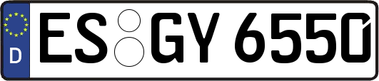 ES-GY6550