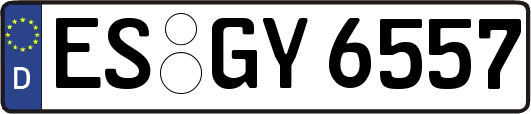 ES-GY6557