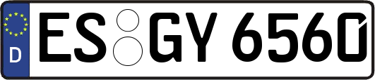 ES-GY6560