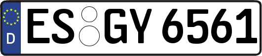 ES-GY6561