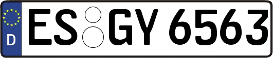 ES-GY6563