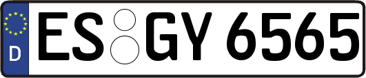 ES-GY6565