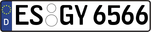 ES-GY6566