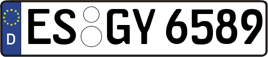 ES-GY6589