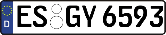 ES-GY6593