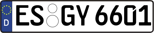 ES-GY6601