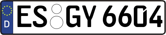 ES-GY6604